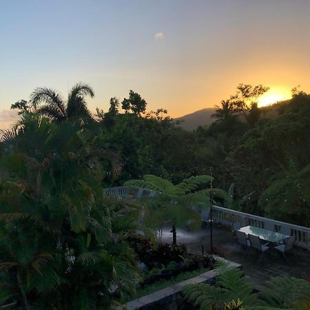 El Yunque Rainforest Inn Rio Grande Εξωτερικό φωτογραφία