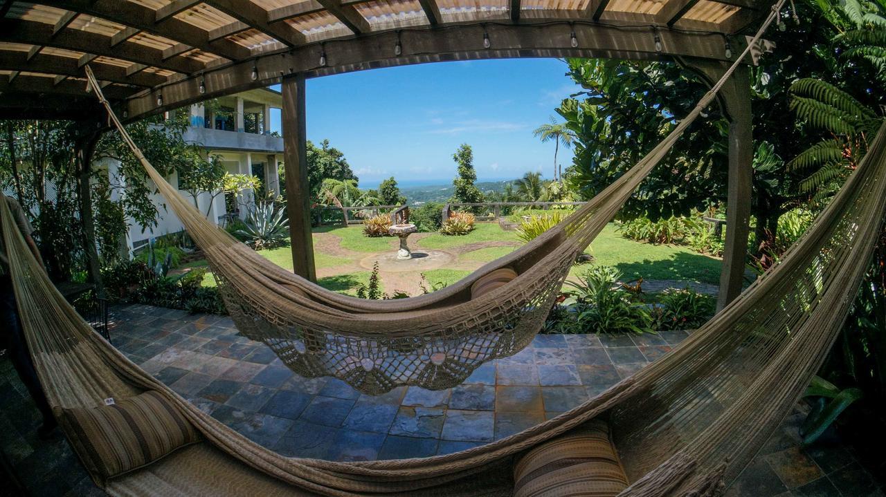 El Yunque Rainforest Inn Rio Grande Εξωτερικό φωτογραφία