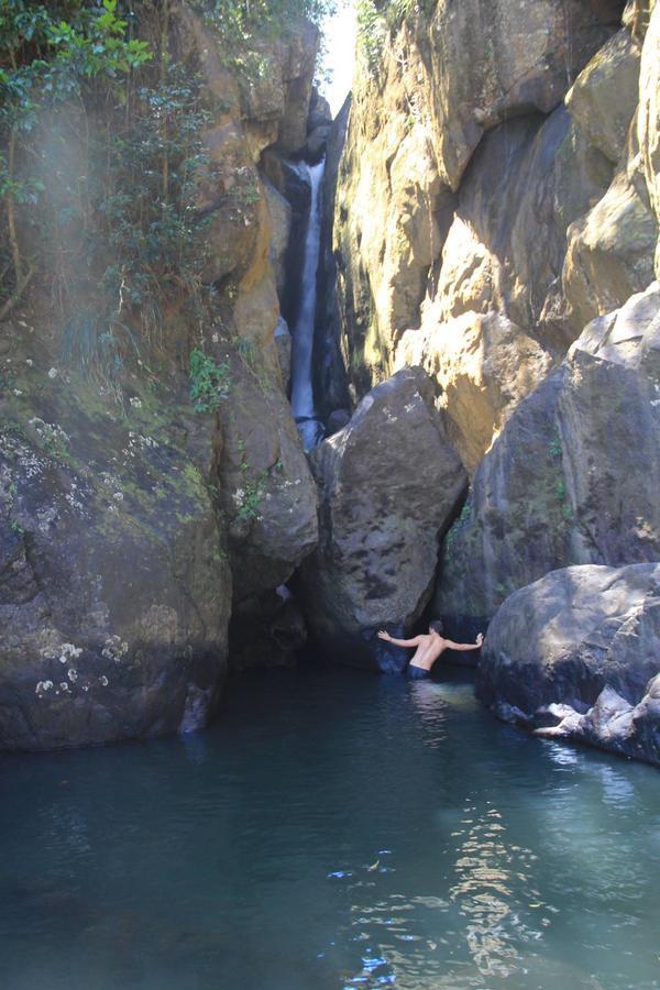 El Yunque Rainforest Inn Rio Grande Εξωτερικό φωτογραφία