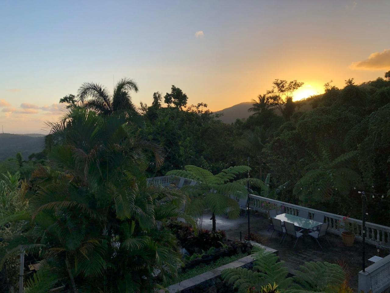 El Yunque Rainforest Inn Rio Grande Εξωτερικό φωτογραφία